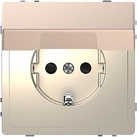 Розетка с заземлением без рамки Schneider Electric Merten D-Life 1-м. крышка шторки шампань картинка